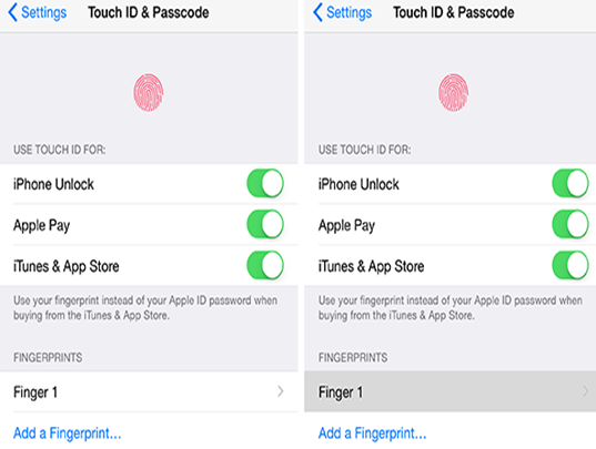 Fix Touch ID