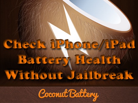 check iPhone battery health copy